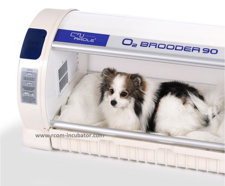A picture of the white and blue RCOM oxygen brooder 90 that has a small dog inside looking content.