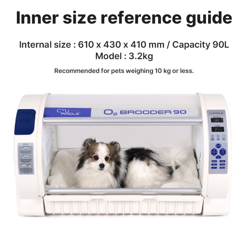 Oxygen Brooder Bundle - Pet O2 Brooder + Oxygen Concentrator + Nebulizer