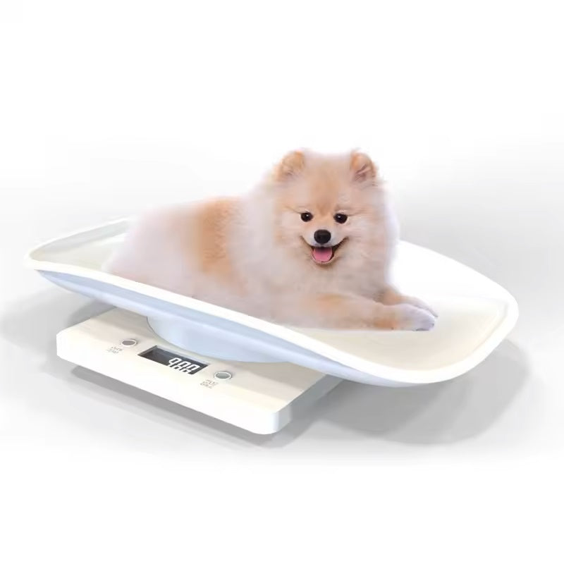 Digital Pet Scale