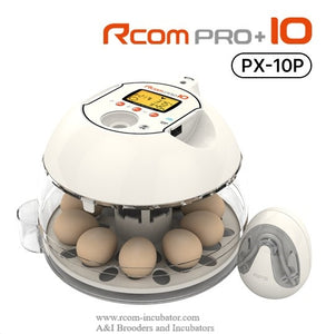 Pro 10 Plus (Fully Automatic)