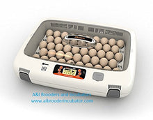 Load image into Gallery viewer, Rcom Flat MX &amp; PX 50 Incubator Standard  48 Egg Tray