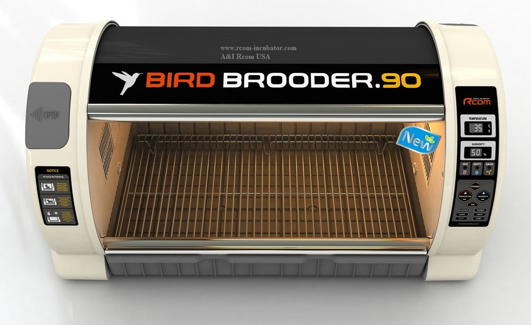 Rcom Curadle Brooder Large Stainless Steel Mesh Floor Insert