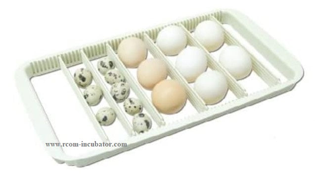Metal Egg Tray –