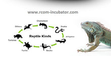 Load image into Gallery viewer, Max 90 Juragon Reptile Incubator