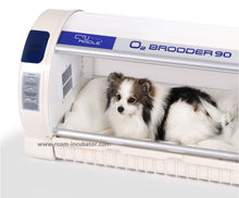 Load image into Gallery viewer, A picture of the white and blue RCOM oxygen brooder 90 that has a small dog inside looking content. 