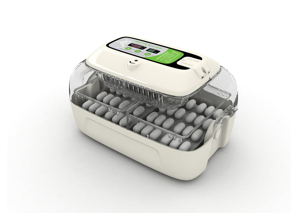 REPTILE max 60 デジタルインキュベーター 孵卵器 REPTILE max 60 デジタルインキュベーター 孵卵器 爬虫類