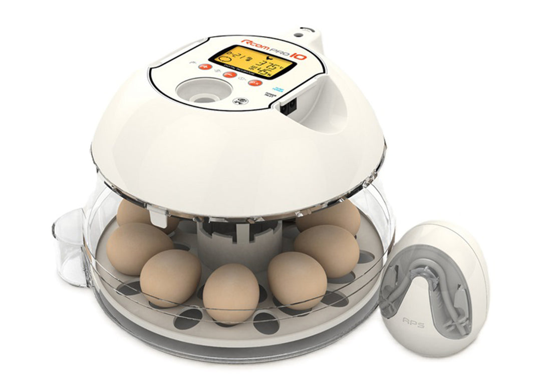 Rcom Bird Incubators – Rcom Incubators USA
