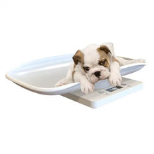 Load image into Gallery viewer, Digital Pet Scale