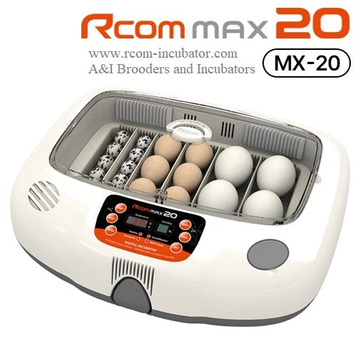 Rcom Max 20 Incubator | Compact 20-Egg Digital Egg Incubator