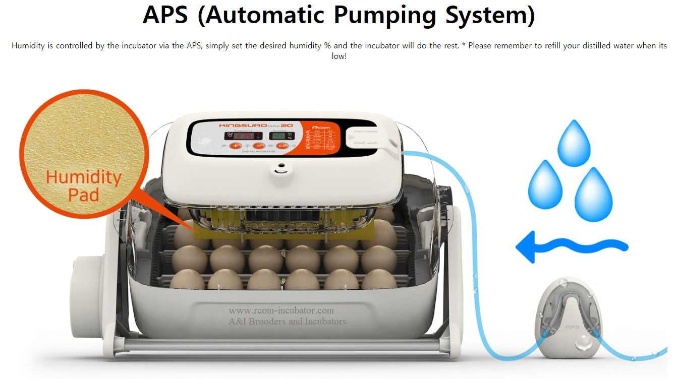 King Suro 20 Automatic Incubator – Rcom Incubators USA