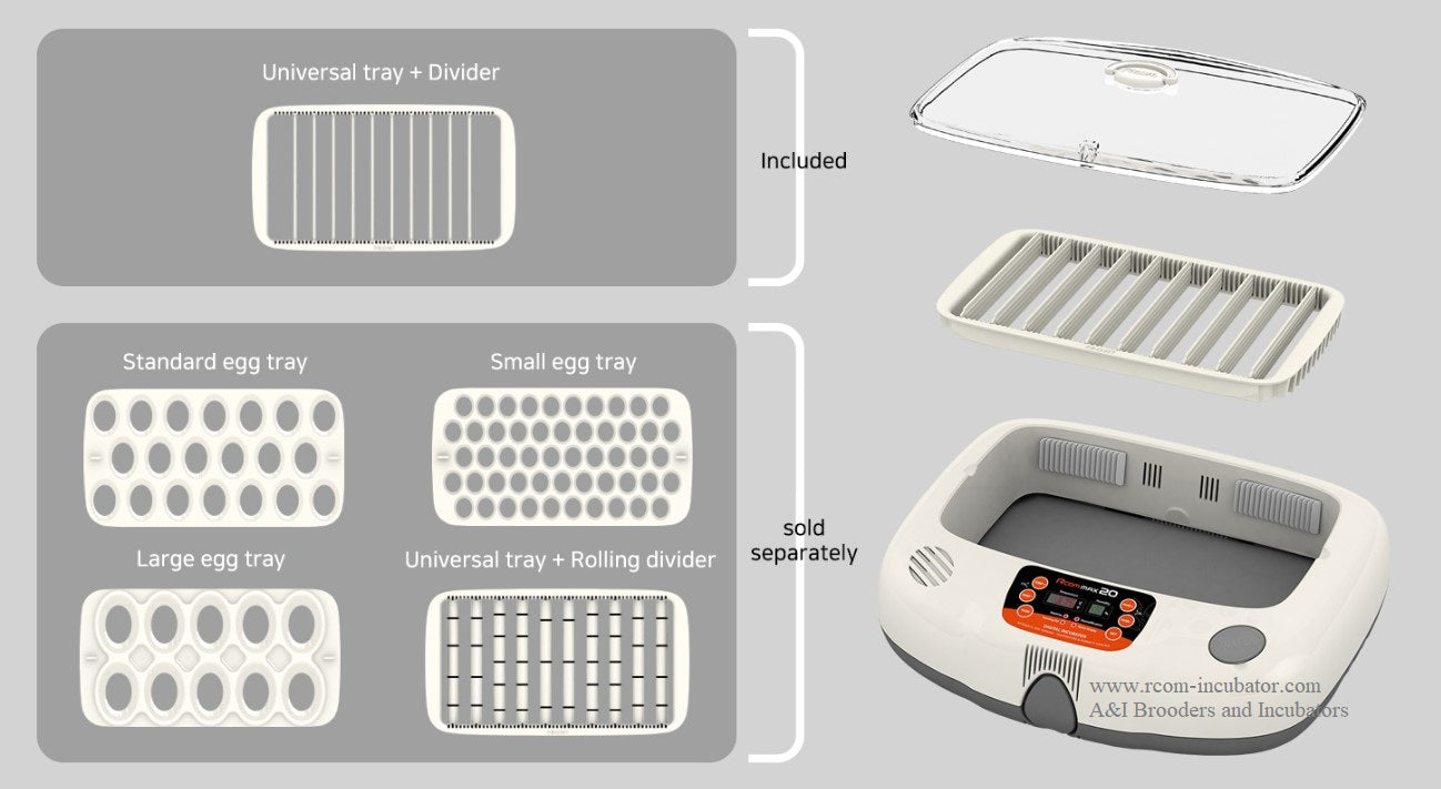 Rcom Max 20 Incubator | Compact 20-Egg Digital Egg Incubator