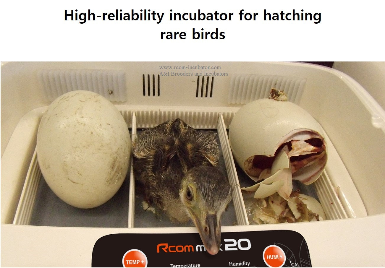 Rcom R-Com Max Mx 20 Automatic Poultry Avian Egg Incubator – Rcom