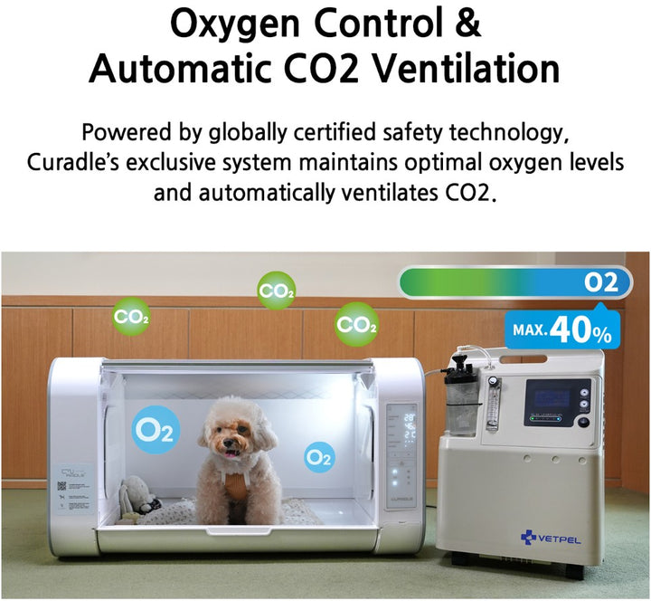 ICU 120 Bundle - Curadle ICU 120 C12PX with IP Camera with Oxygen Concentrator