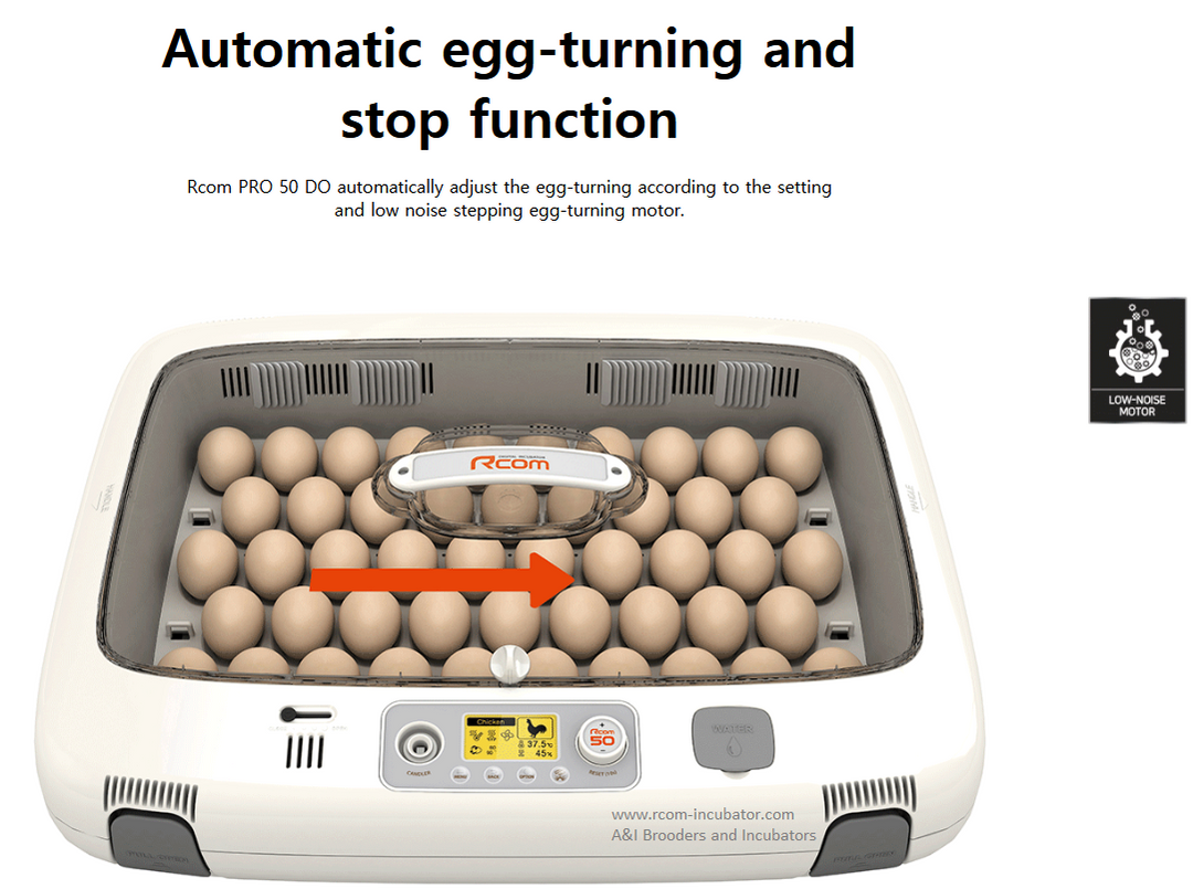 Rcom Pro 50 DO Incubator – Rcom Incubators USA