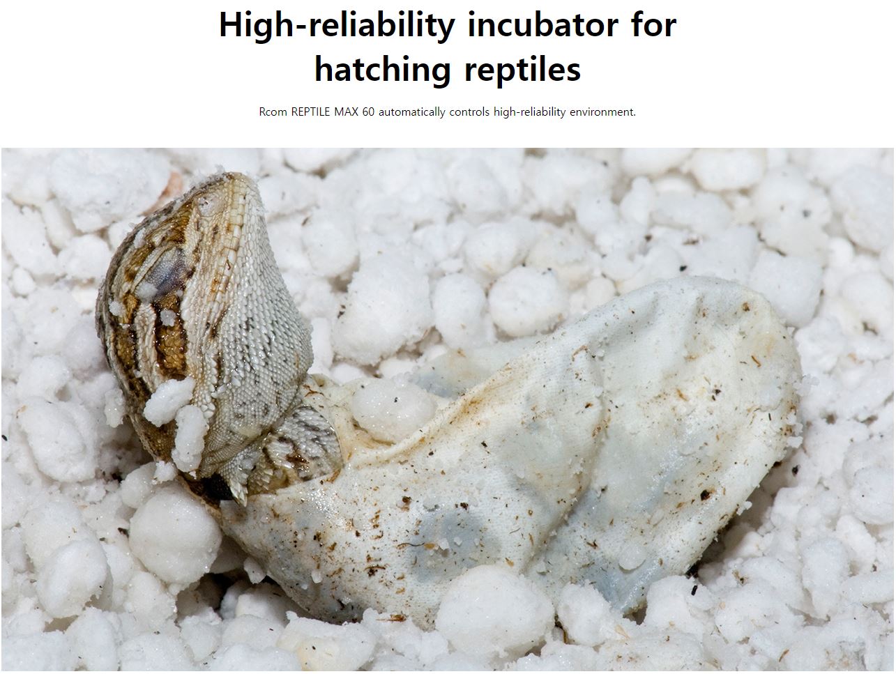 MX R 60 Juragon Reptile Incubator – Rcom Incubators USA