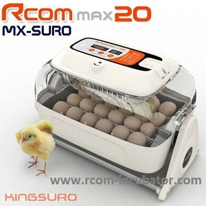 King Suro Automatic Egg Van Cradle