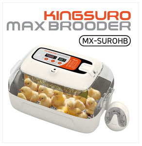 King Suro MX-Brooder