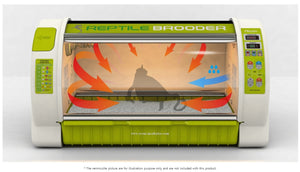 Large Reptile Brooder BL 700 R