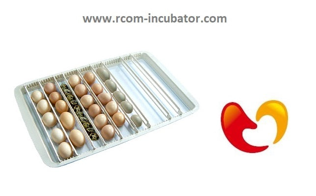 50-Series Universal Egg Tray with Dividers – Rcom Incubators USA