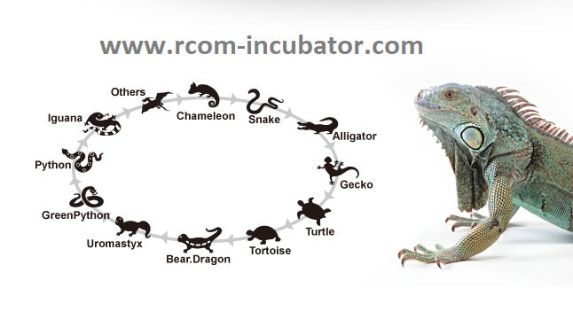 Pro 90 Juragon Reptile Incubator