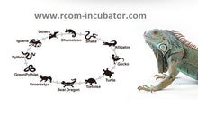 Load image into Gallery viewer, Pro 90 Juragon Reptile Incubator